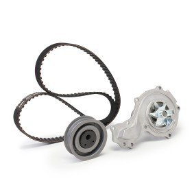 FEBI BILSTEIN 172599 VW TRANSPORTER 4 Bus (70XB, 70XC, 7DB, 7DW) Vesipumppu + jakohihnasarja