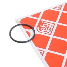 AUDI Tiiviste, polttoainepumppu FEBI BILSTEIN 172666