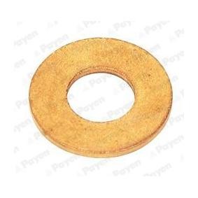 PAYEN KG5078 Junta de inyector MINI Paceman (R61) 1.6 116 cv Motor otto