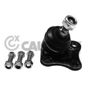 Osta Pallonivel CAUTEX:llä 755000 edullisesti hintaan 26,34&nbsp;&euro;