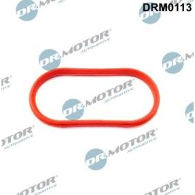 DR.MOTOR AUTOMOTIVE DRM0113 Guarnizione collettore scarico BMW 3 Cabrio (E36)