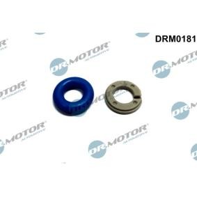 DR.MOTOR AUTOMOTIVE DRM0181 Reparatursatz, Einspritzdüse VW POLO
