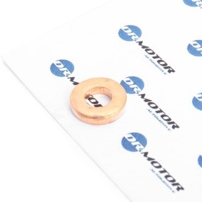 DR.MOTOR AUTOMOTIVE DRM020 Wärmeschutzscheibe, Einspritzanlage RENAULT KANGOO (KC0/1_)