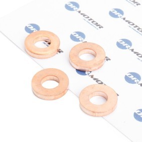 DR.MOTOR AUTOMOTIVE DRM020S Wärmeschutzscheibe, Einspritzanlage RENAULT KANGOO (KC0/1_)