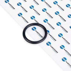 DR.MOTOR AUTOMOTIVE DRM024 Kühlmittelflansch RENAULT GRAND SCENIC 3 (JZ0/1)