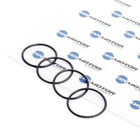 DR.MOTOR AUTOMOTIVE DRM0364S Reparatursatz, Einspritzdüse VW POLO