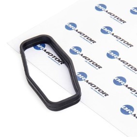 DR.MOTOR AUTOMOTIVE DRM0633 Junta da bomba de óleo PEUGEOT EXPERT