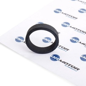 DR.MOTOR AUTOMOTIVE DRM065 Junta, respiro do cárter da cambota RENAULT SCÉNIC