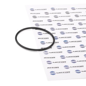 Dichtung, Vakuumpumpe von DR.MOTOR AUTOMOTIVE DRM0748