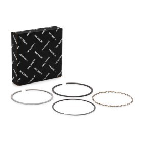 RIDEX 444P0147 Kolbenringe FIAT DUCATO