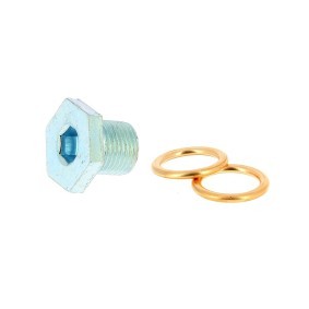 XL 300079 Junta de tapon de cárter GMC Savana 2500 Extended Passenger Van 6.0 305 cv Motor otto