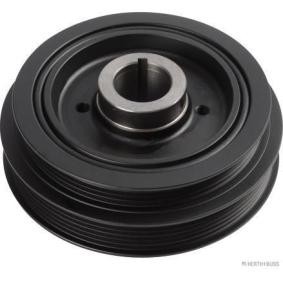HERTH+BUSS JAKOPARTS J1092024 Poulie damper LEXUS RX (MCU15) 3.0 201 CV Essence