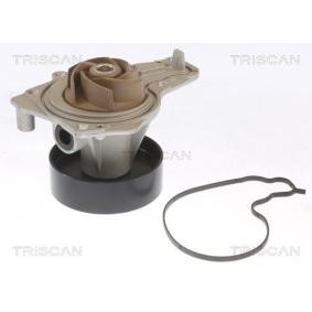Achetez des Pompe à eau TRISCAN 8600 11061 à prix pour 87,77&nbsp;&euro;