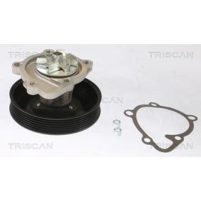 TRISCAN 8600 43028 Pompe à eau HYUNDAI SONATA V (NF) 2.0 144 CV Essence
