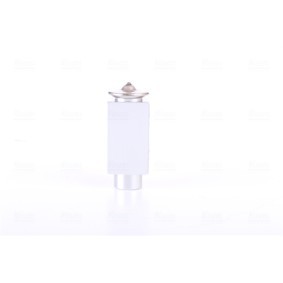 NISSENS 999322 Valvola espansione climatizzatore RENAULT 19