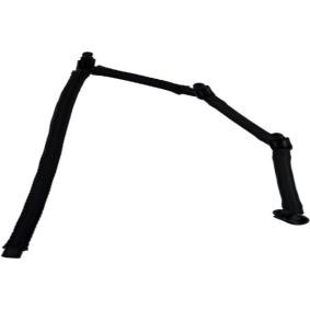 BUGIAD BFH18006 Rampa de injeção PEUGEOT EXPERT