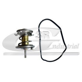 3RG 80195 Termóstato BMW X6