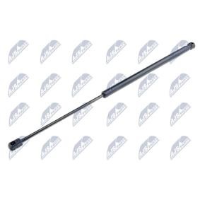 NTY AE-FR-029 Pistoncini portellone FORD C-MAX