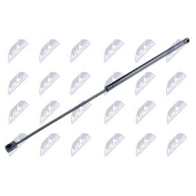 NTY AE-FR-038 Pistoncini portellone FORD TOURNEO CONNECT