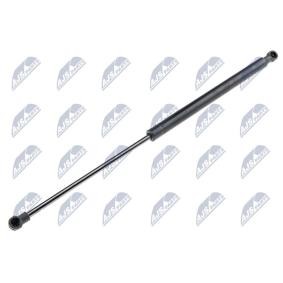 NTY AE-RE-036 Bagklapsdæmper RENAULT CAPTUR