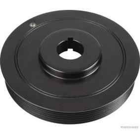 Comprar Polea de cigüeñal de HERTH+BUSS JAKOPARTS J1098010 a bajo precio de 110,61&nbsp;&euro;