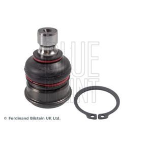 BLUE PRINT ADBP860027 RENAULT SCALA Pallonivel