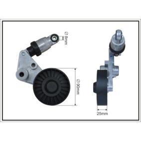 Achetez des Galet tendeur de courroie d'accessoire CAFFARO 101299SP à prix pour 41,65&nbsp;&euro;