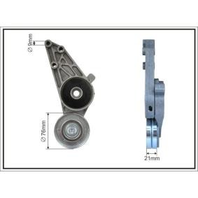 Achetez des Galet tendeur de courroie d'accessoire CAFFARO 117000SP à prix pour 35,47&nbsp;&euro;