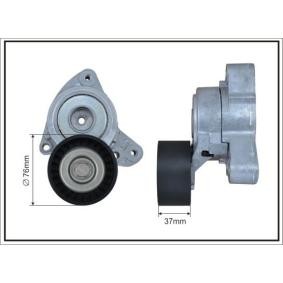 Achetez des Galet tendeur de courroie d'accessoire CAFFARO 141499SP à prix pour 55,10&nbsp;&euro;