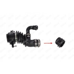 IBRAS 19956 Tubo de admissão de ar FORD C-MAX