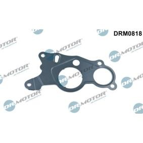DR.MOTOR AUTOMOTIVE DRM0818 Bomba de vacío del sistema de frenado VW AMAROK