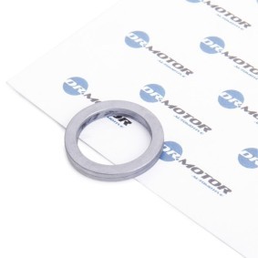 DR.MOTOR AUTOMOTIVE DRM0828 Junta da bomba de óleo PEUGEOT EXPERT