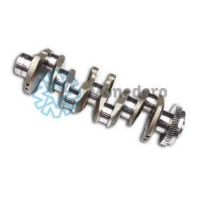 MONEDERO 10011000049 Kurbelwelle MERCEDES-BENZ