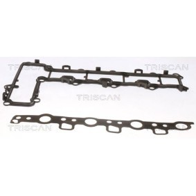Comprar Juego de juntas, tapa de culata de cilindro de TRISCAN 515-1053 a bajo precio de 57,00&nbsp;&euro;