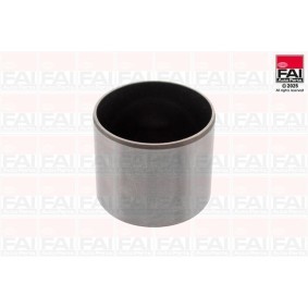FAI AutoParts BFS480S Tuchos de motor OPEL MOKKA