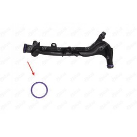 IBRAS 17159 Guarnizione per refrigerante PEUGEOT