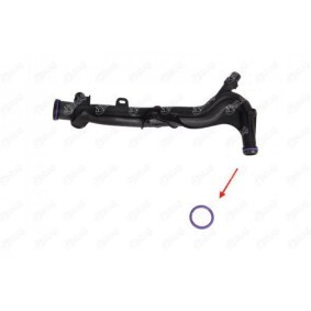 IBRAS 17160 Guarnizione per refrigerante PEUGEOT