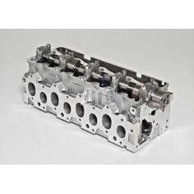 Zylinderkopf 064029070 für RENAULT