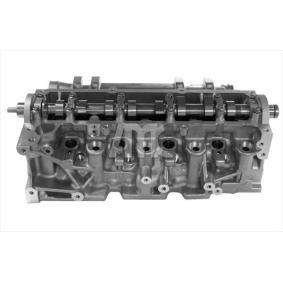 MEYER MOTOREN 094024830 Zylinderkopf RENAULT THALIA 2 (LU1/2) 1.5 64 PS Diesel