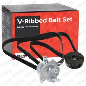 Compre Jogo de correias trapezoidais estriadas da STARK SKRBS-1200748 a um preço baixo por 97,35&nbsp;&euro;