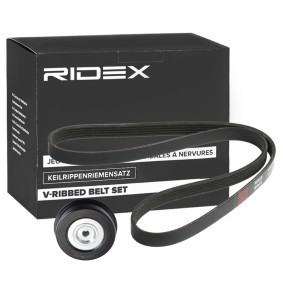 Compre Jogo de correias trapezoidais estriadas da RIDEX 542R0764 a um preço baixo por 29,32&nbsp;&euro;