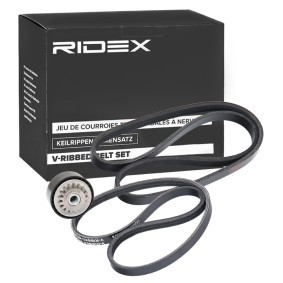 RIDEX 542R0769 Keilrippenriemensatz DACIA LOGAN (LS_)