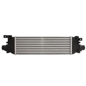 THERMOTEC DAG022TT Intercooler FORD FIESTA