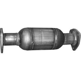 Katalysator für DAEWOO von POLMO