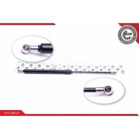 ESEN SKV 52SKV336 Bagageutrymme CHEVROLET LACETTI (J200)