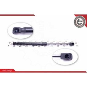 ESEN SKV 52SKV337 Bagageutrymme CHEVROLET Aveo / Kalos Hatchback (T200)