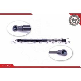 ESEN SKV 52SKV343 Heckklappendämpfer CITROËN C5 II Break (RE_)
