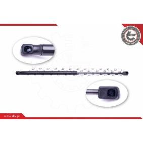 ESEN SKV 52SKV374 Coffre à bagages FORD FIESTA 4 (JA, JB)