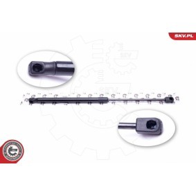 ESEN SKV 52SKV386 Coffre à bagages FORD Focus 2 (DA_, HCP, DP) 1.6 90 CV Diesel