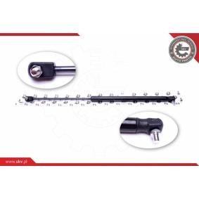 ESEN SKV 52SKV494 Kofferraum SKODA FELICIA 2 (6U1)